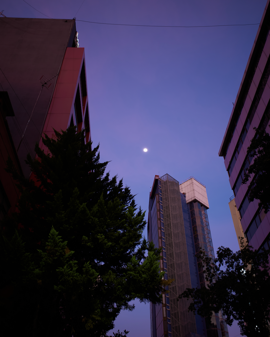 Captura de pantalla 2026-02-19 a la(s) 14.35.00.png