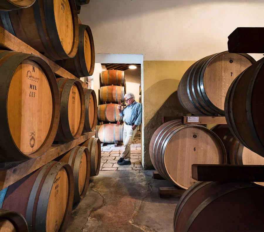 Uomo che osserva barrique di legno in una cantina di vino.