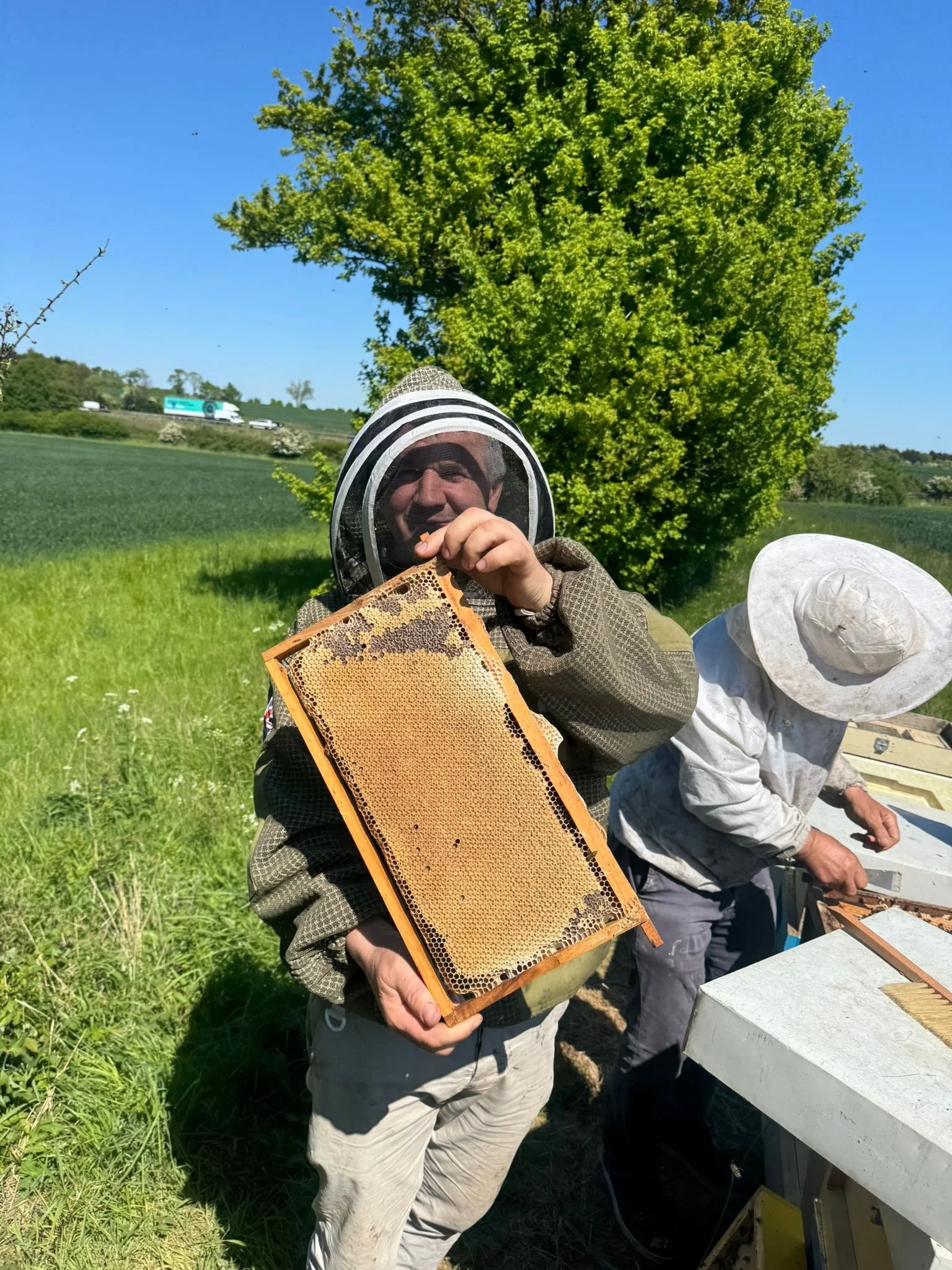 Person wearing a beekeeping suit holding a honeycomb frame outdoors on a sunny day. Another person in a hat is working nearby, with greenery and a large tree in the background.
