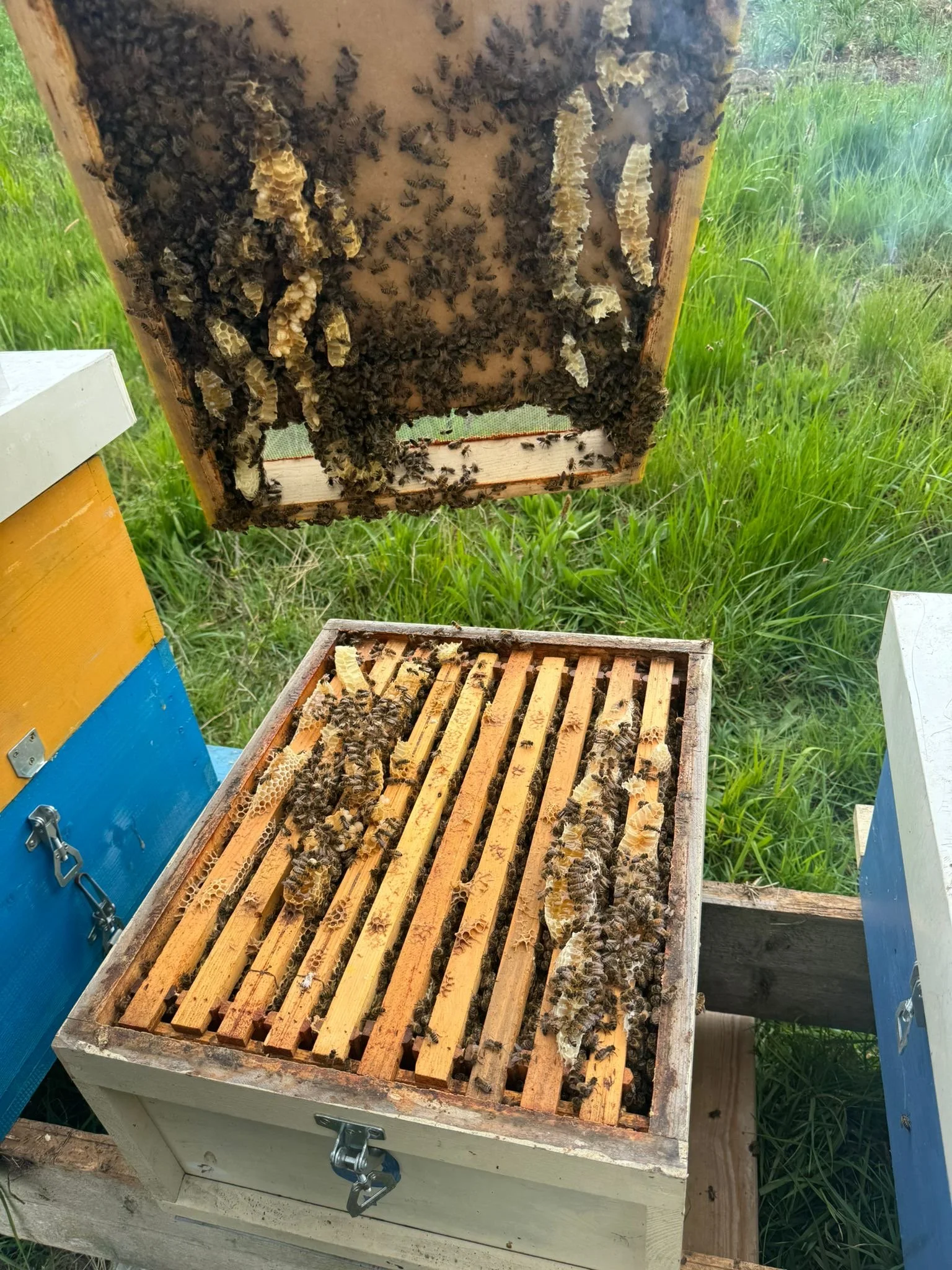 d62a1f2e-7a70-42d0-b4a3-c2859d3b5e80.JPG (Copy) (Copy) (Copy)