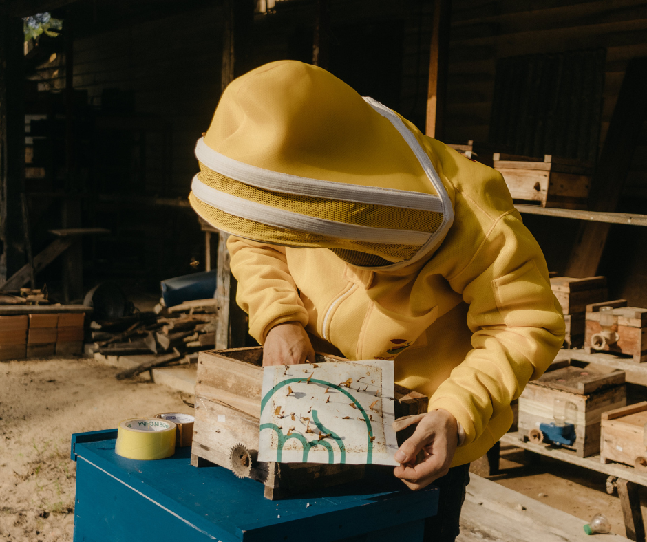 A person dressed in a yellow beekeeping suit and veil inspecting a beehive box outdoors.