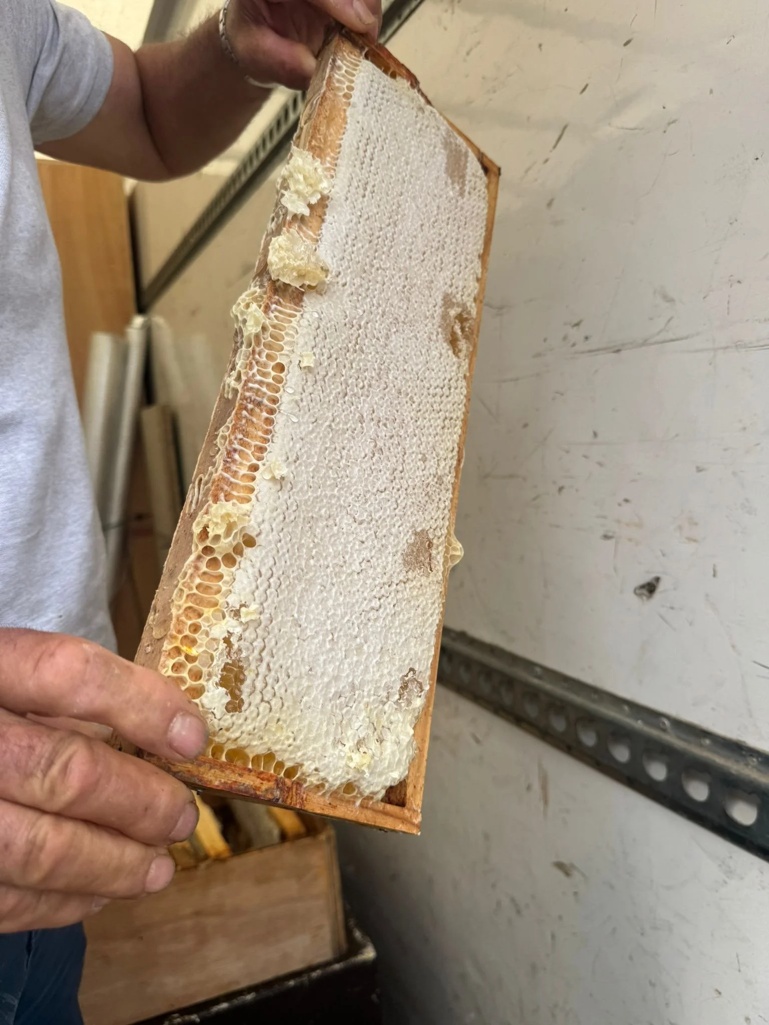 15abf68a-7bf8-421f-9cef-8faa9ddb4f38.JPG (Copy) (Copy) (Copy)