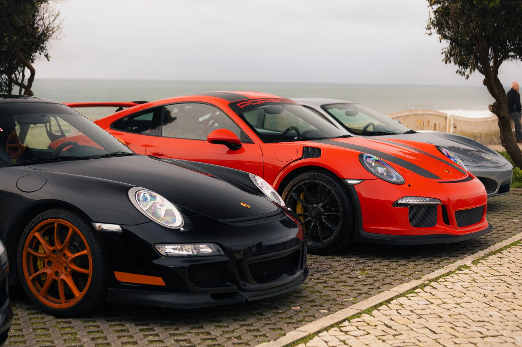 _MG_7911.jpg