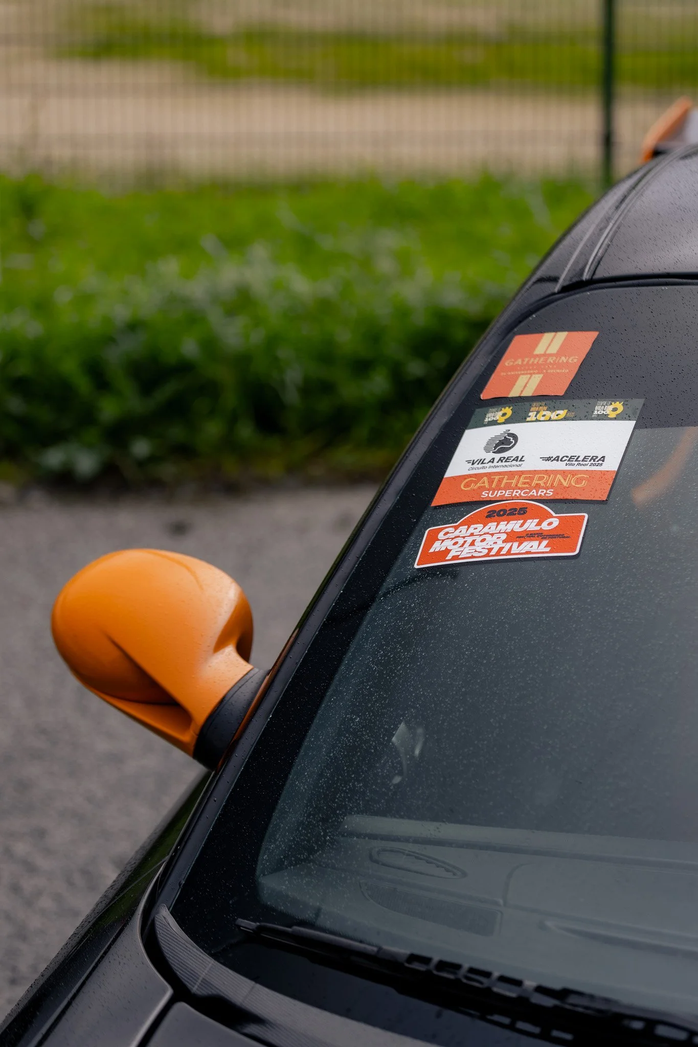 _MG_7630.jpg