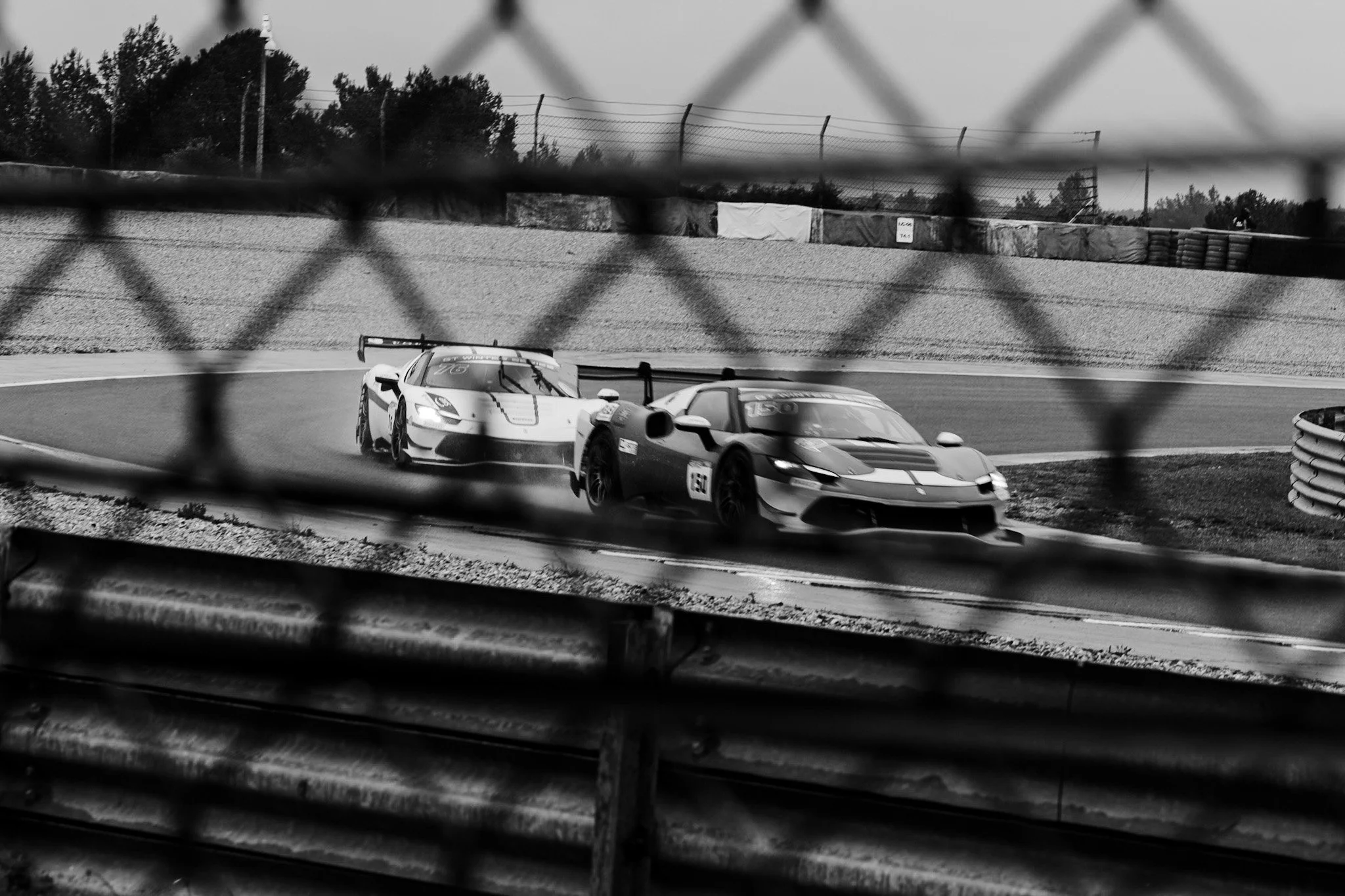 _MG_9207.jpg