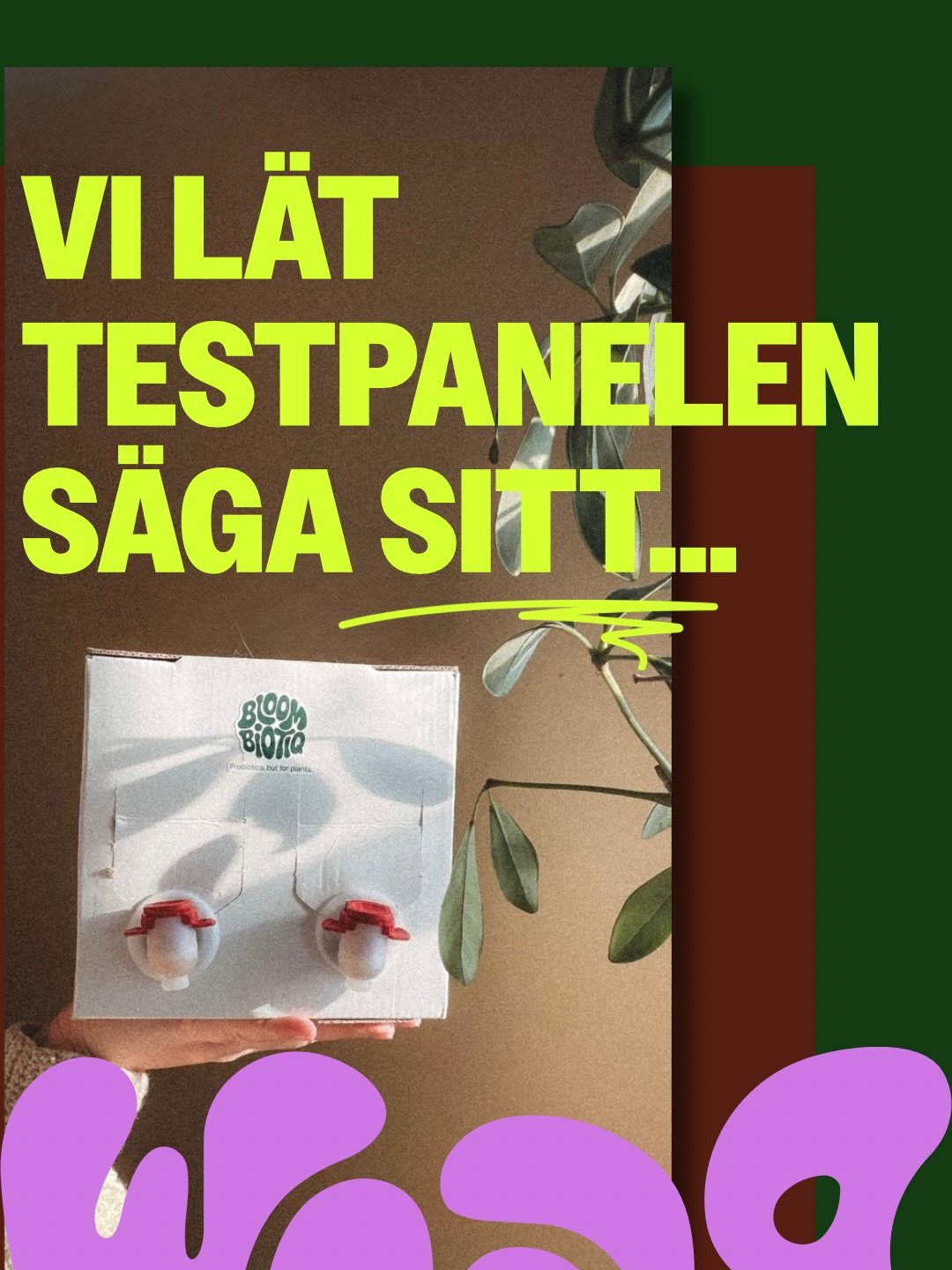 Testpanelen gav oss en hel del v&auml;rdefull feedback! 
Nu vill vi h&ouml;ra fr&aring;n er, vilka odlingsprofiler inspirerar er mest? Tipsa oss i kommentarerna 🌱👇

#bloombiotiq #odling #plantcommunity #v&auml;xter
