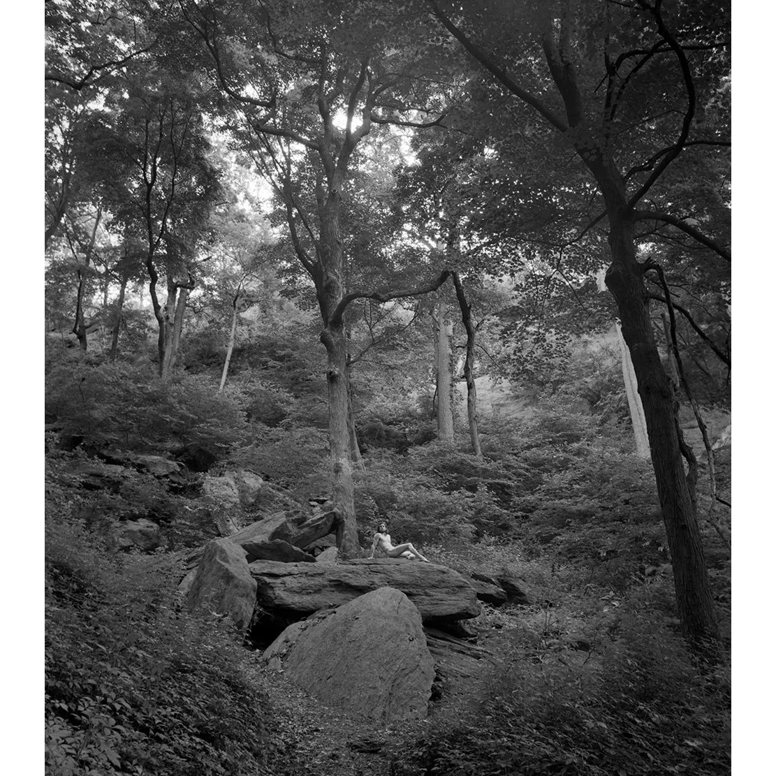 BW7SG