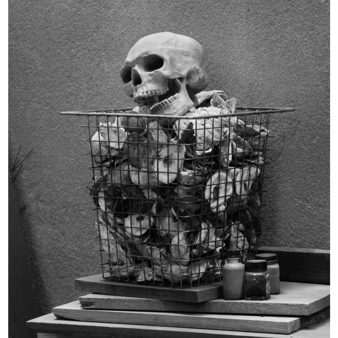 SKULL & OYSTERS.jpg