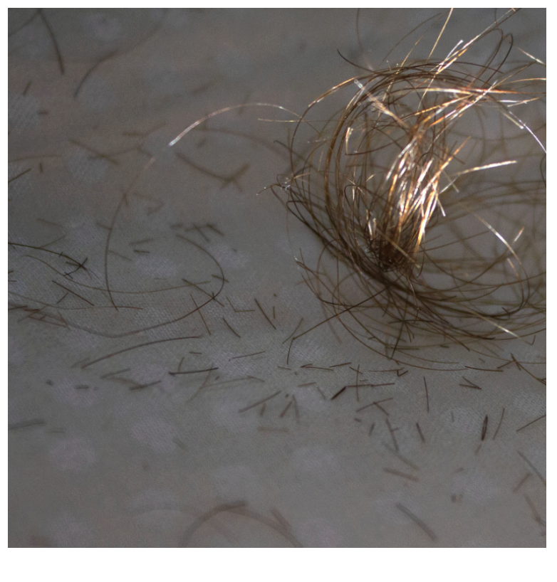 Screenshot 2026-02-09 at 6.40.51 PM.png