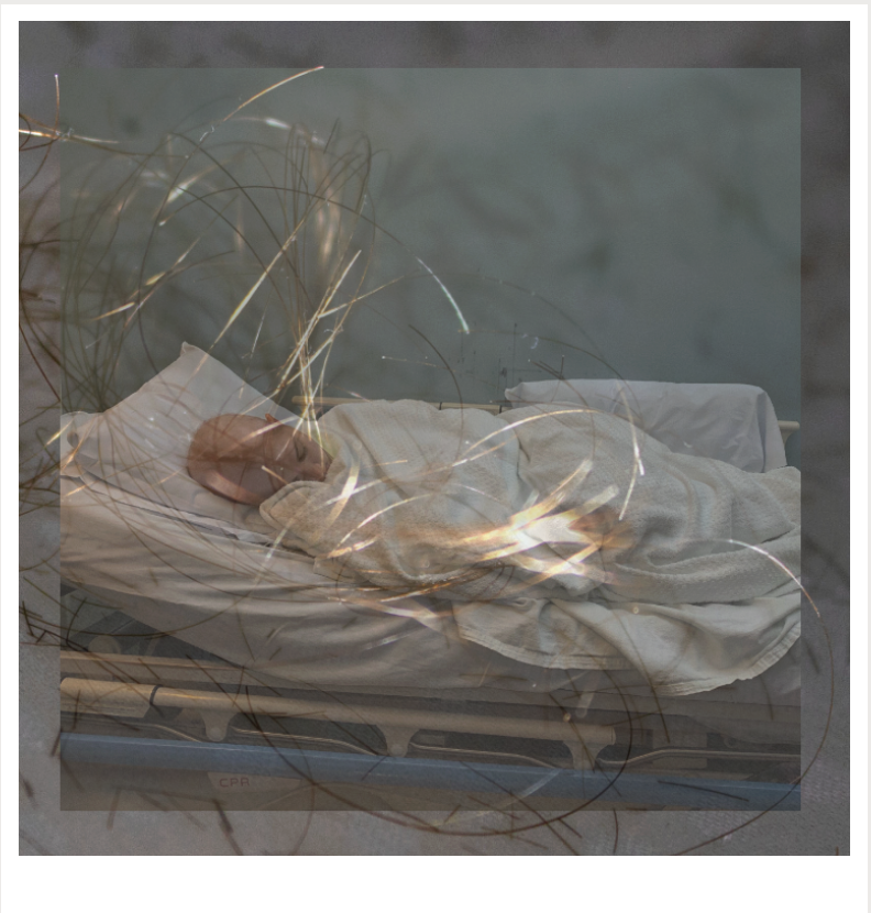 Screenshot 2026-02-09 at 6.40.56 PM.png