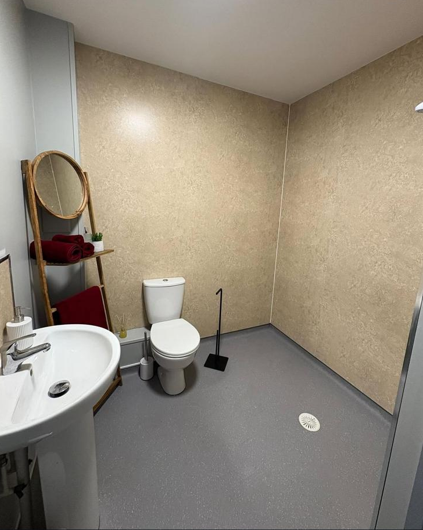 Bathroom with a toilet, sink, mirror, and a wooden ladder shelf holding towels and a small plant.