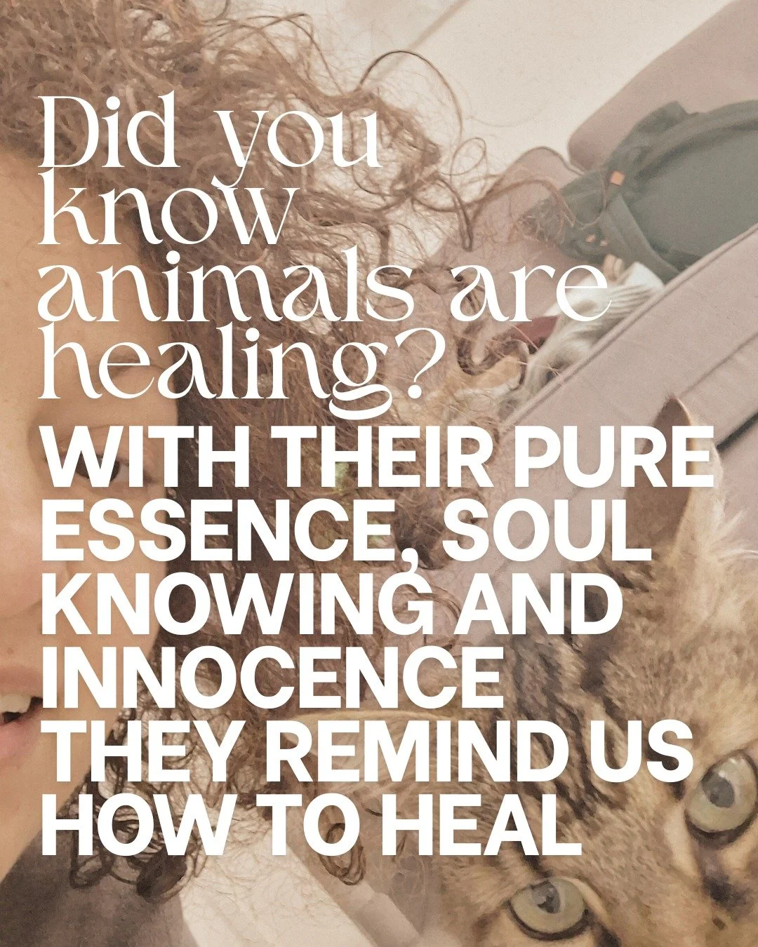 Animals walk beside us as teachers.
Rooted in truth.
Fluent in love.
They don&rsquo;t try to heal us&mdash;
they simply are,
and in their presence, we soften.

#healingjourney #animalsofinstagram