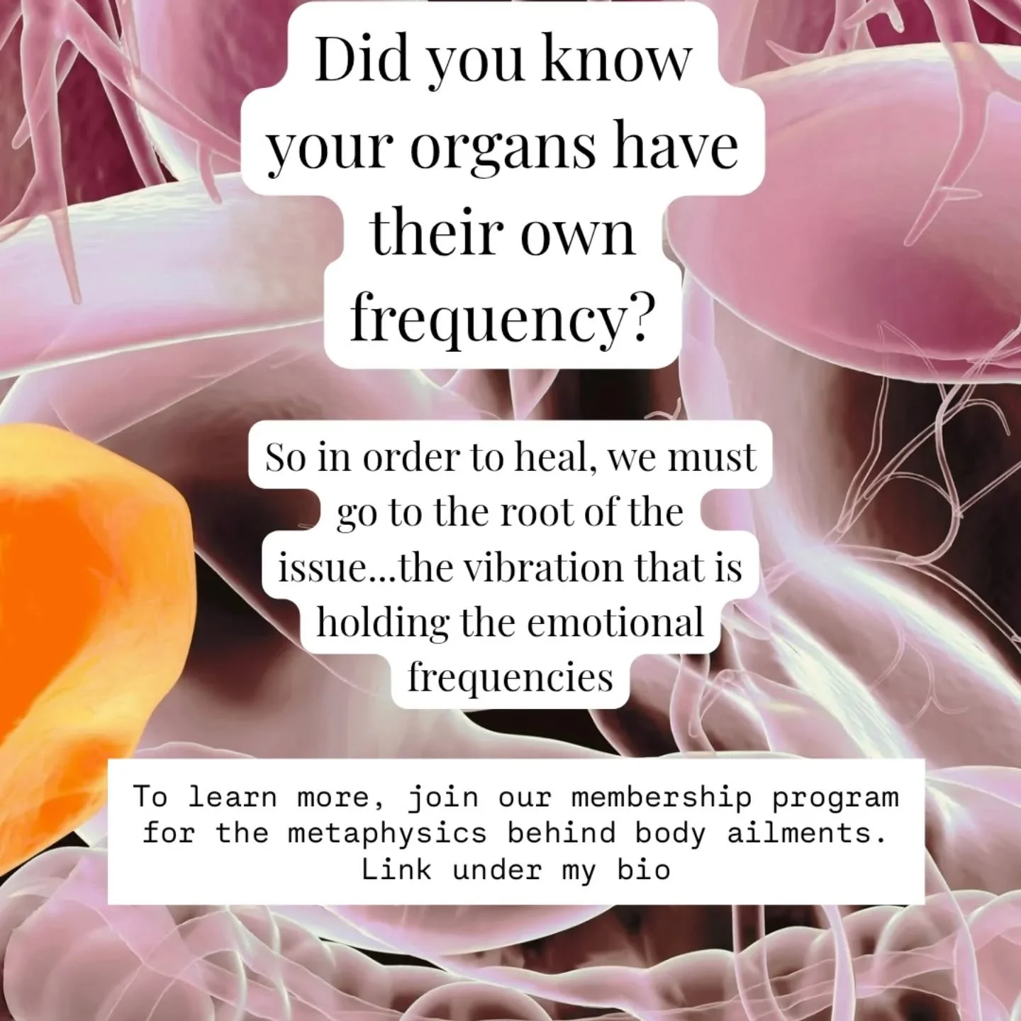 How fascinating that our bodies, including organs hold frequencies storied within trauma cells...this dictates the metaphysics and psychosomatics of the internal cellular memories 

Join the Membership Program: The Body Codes Program to learn more ab