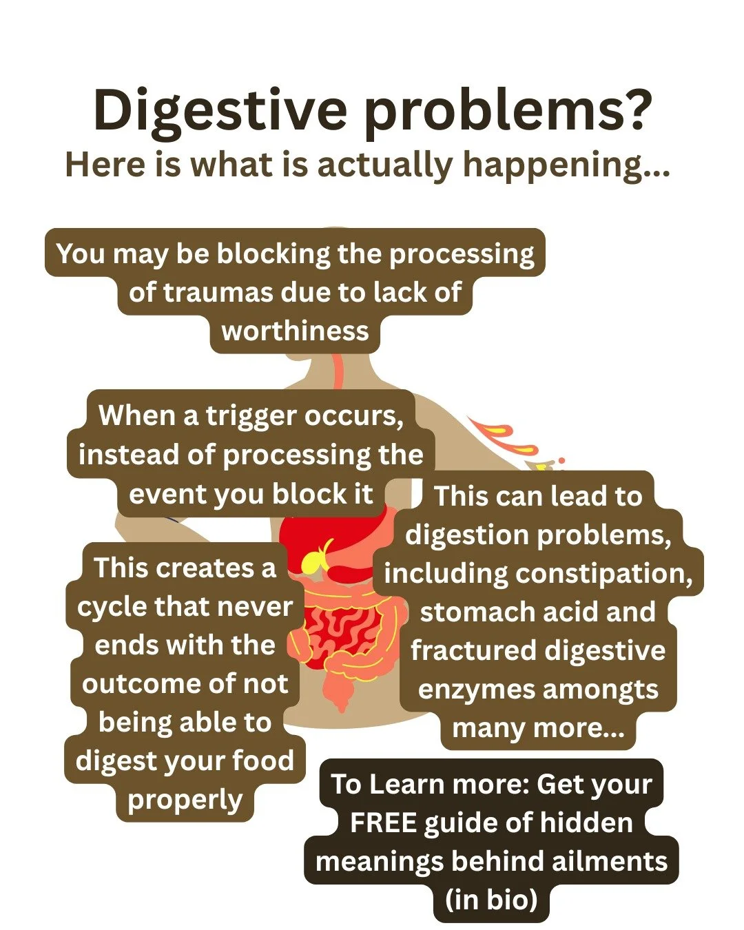 Digestive can get caused by a &ldquo;belief of unworthiness,&rdquo; Chronic stress and unresolved trauma can dysregulate the nervous system and affect digestion &mdash; slowing it down, speeding it up, or increasing sensitivity. To get yourself unstu