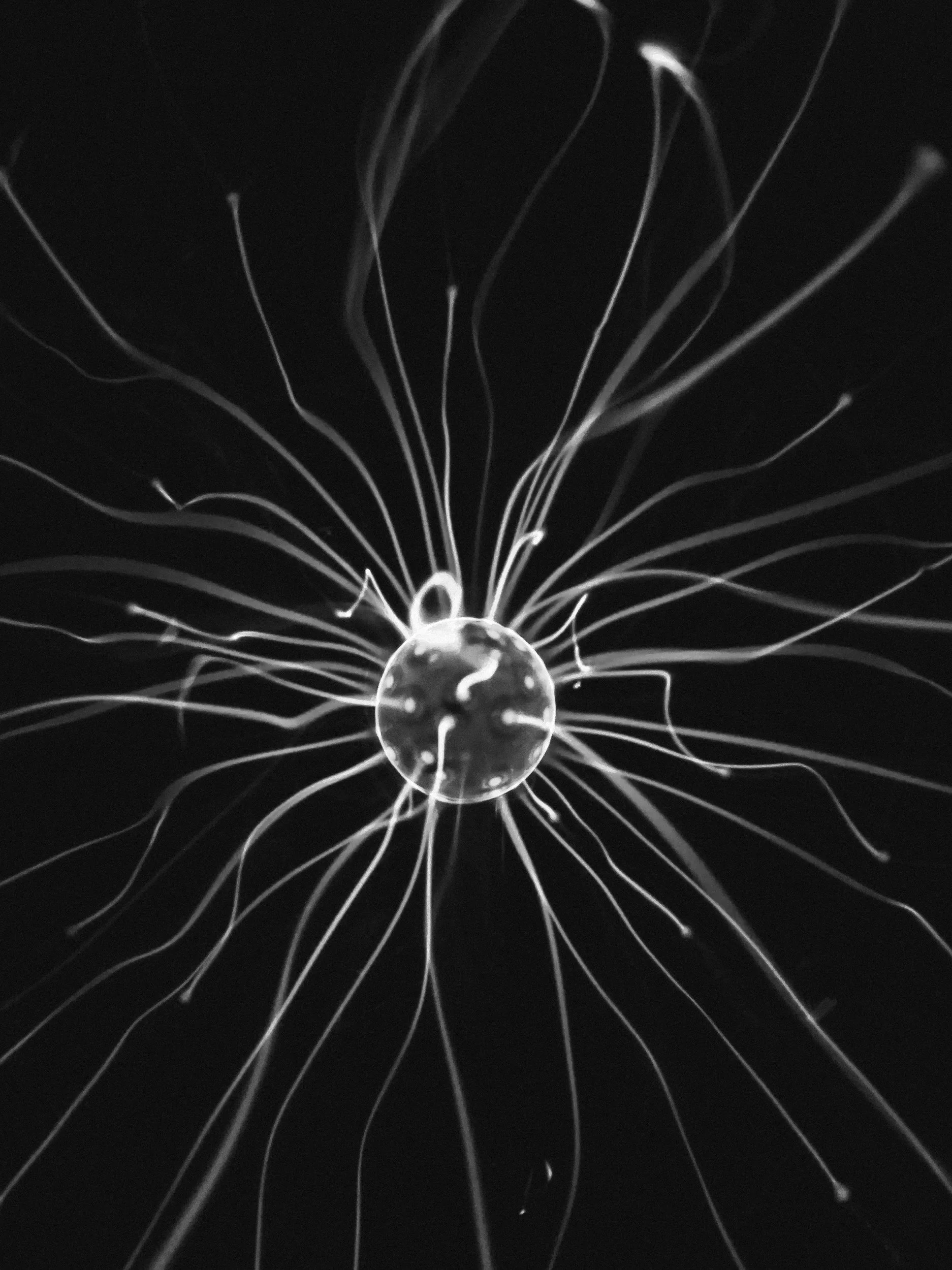 Black and white close-up image of an electrical discharge or plasma sphere with long tendrils radiating outward.