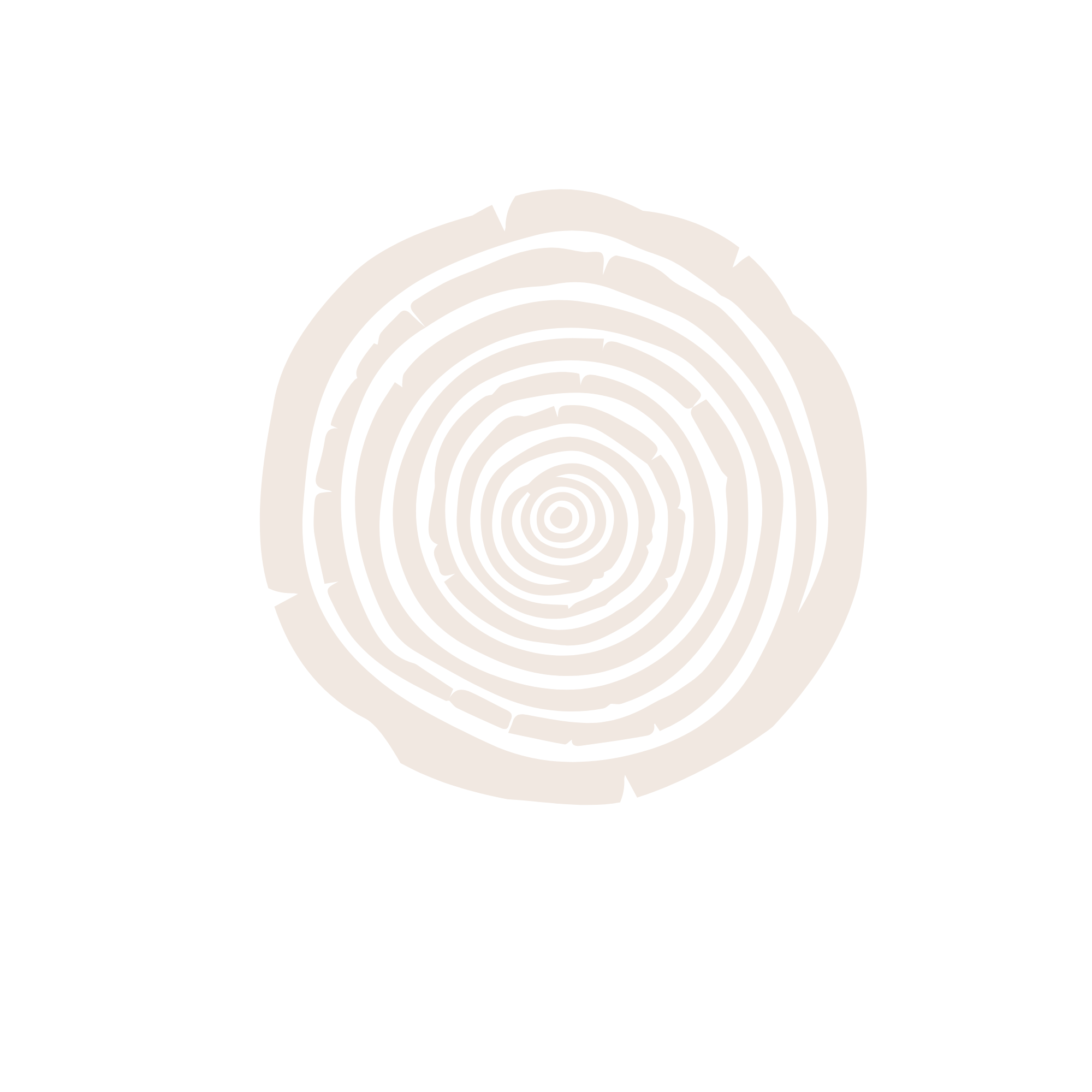Close-up of a tree cross-section showing concentric growth rings on a black background.