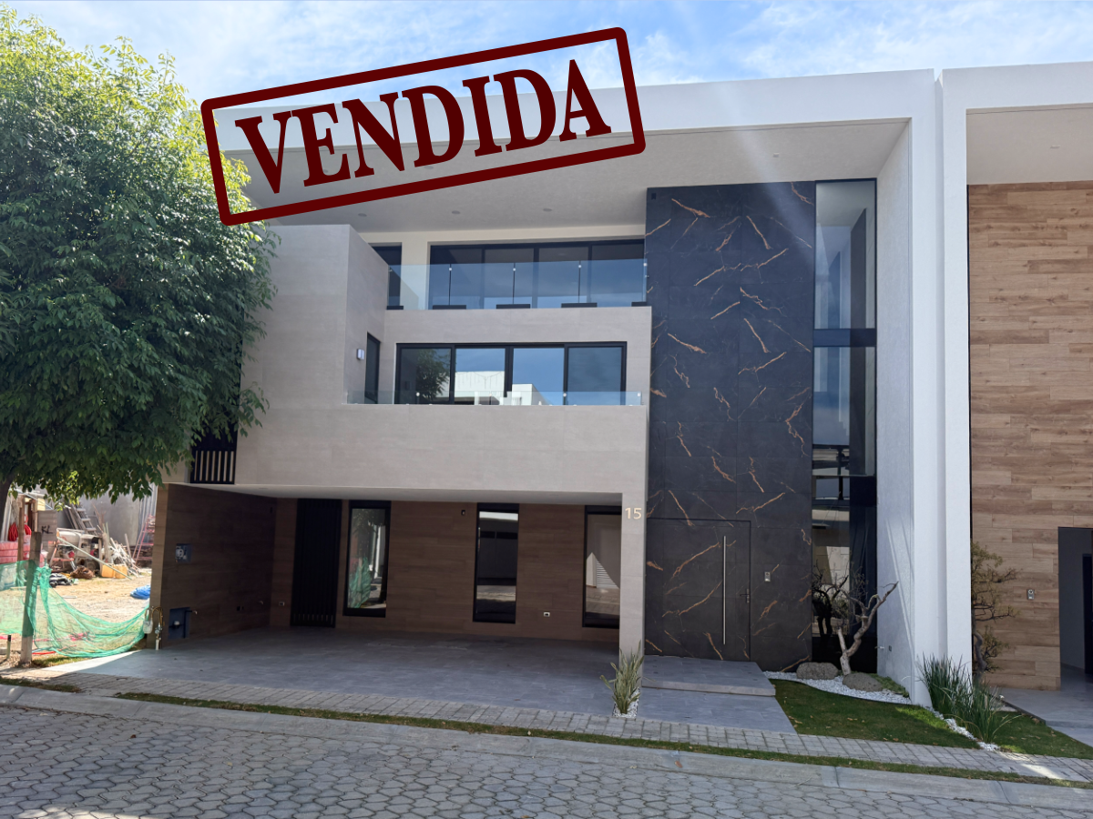 Venado 15