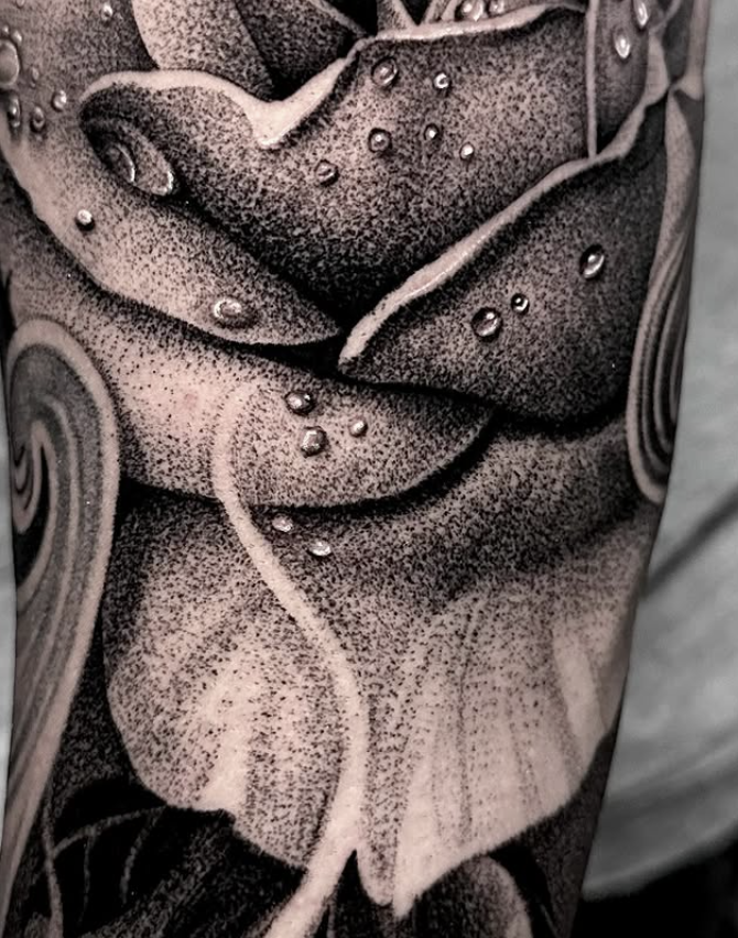 Screenshot 2026-02-12 183828.png