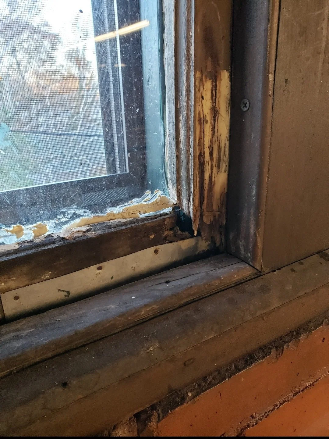 Damaged wooden window frame with deteriorated paint, mold, and dirt around the window opening, with a view outside through a screen.