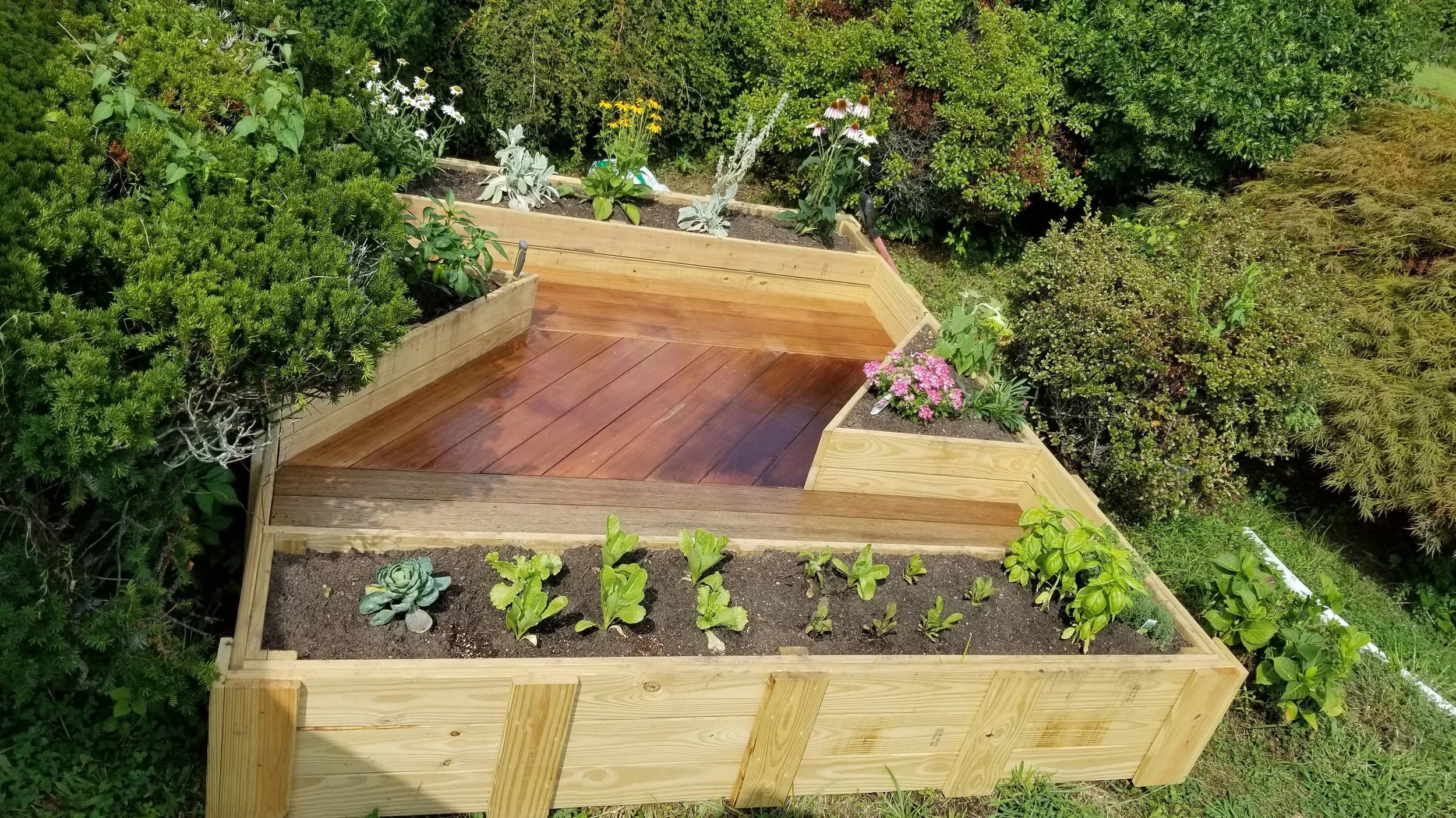 Raised garden beds with various plants and flowers in a lush backyard garden.