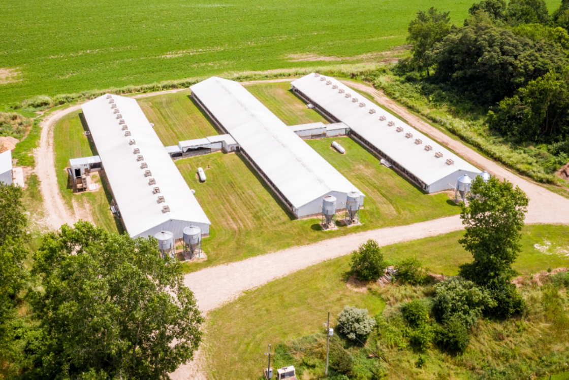 Farmowners Insurance