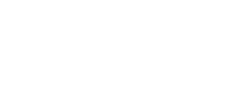 Steve Shannon Agency