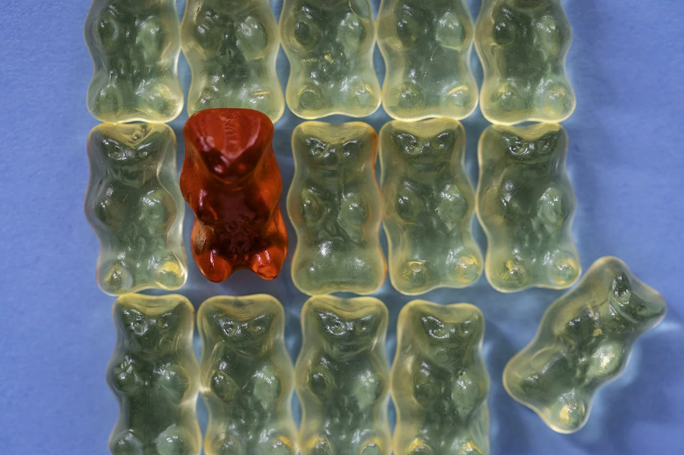 Colorful gummy candies arranged on a blue surface, with one red gummy candy standing out among mostly yellow gummies.