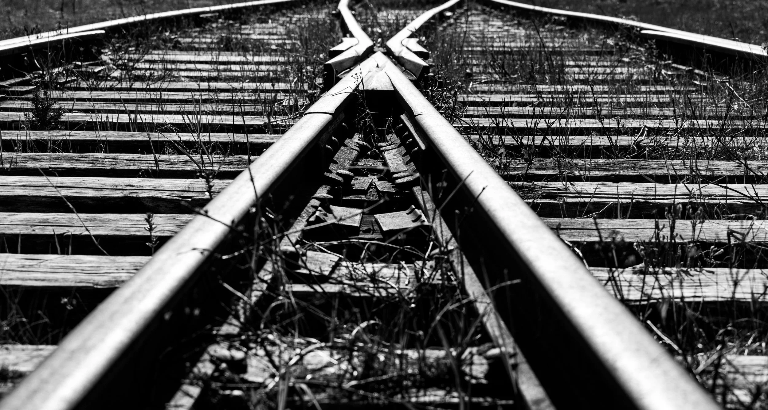 Black and white photo of old railway tracks with wooden ties and overgrown grass, shot from a low angle.