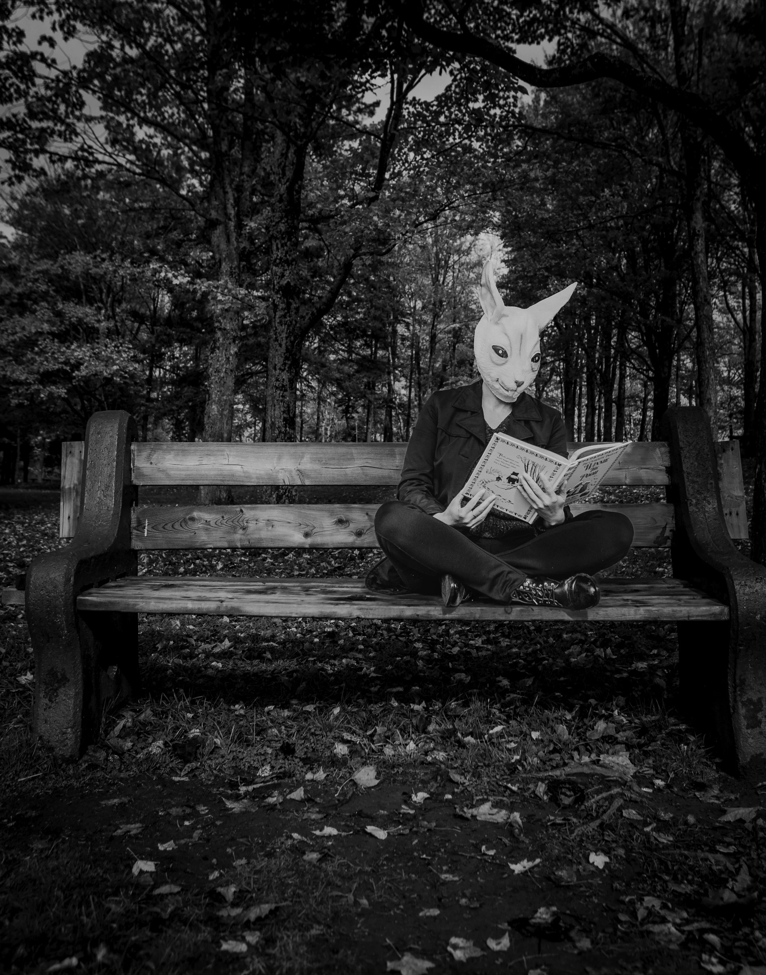 A person with a rabbit mask sitting cross-legged on a park bench, reading a book, in a wooded park setting.