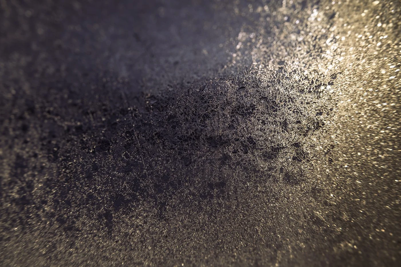 Close-up of a textured, glittery surface with dark and light specks.