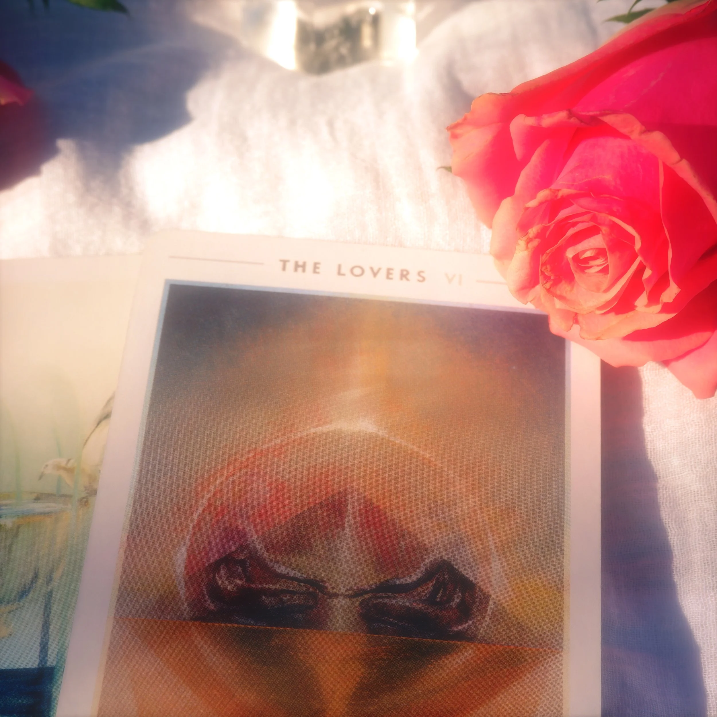 7D0DC95D-834B-4706-9FCC-83957351DD85.jpeg (Copy) (Copy) (Copy)