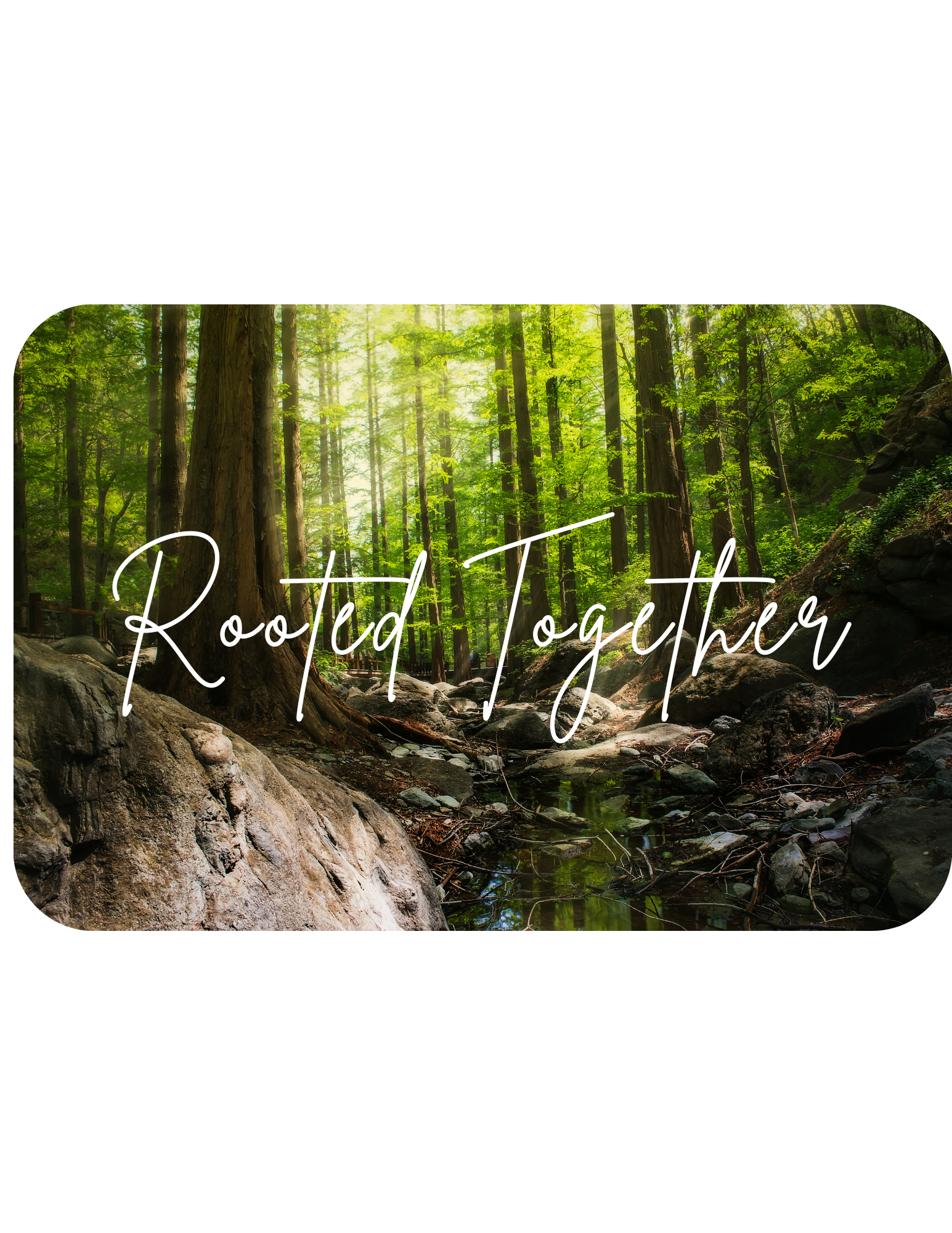 Rooted Together Membership
