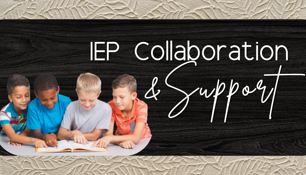 IEP Collaboration & Support