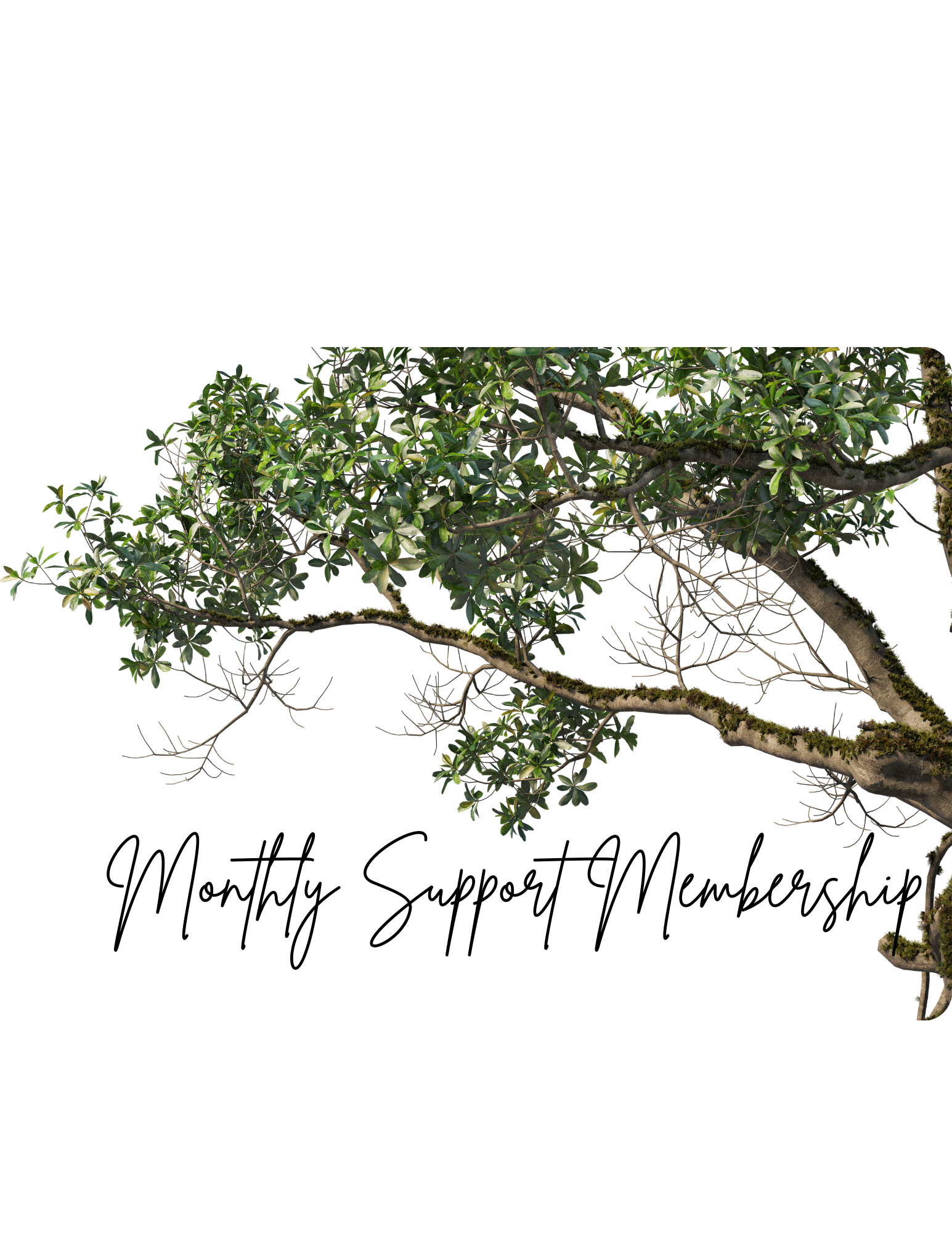 Monthly Membership