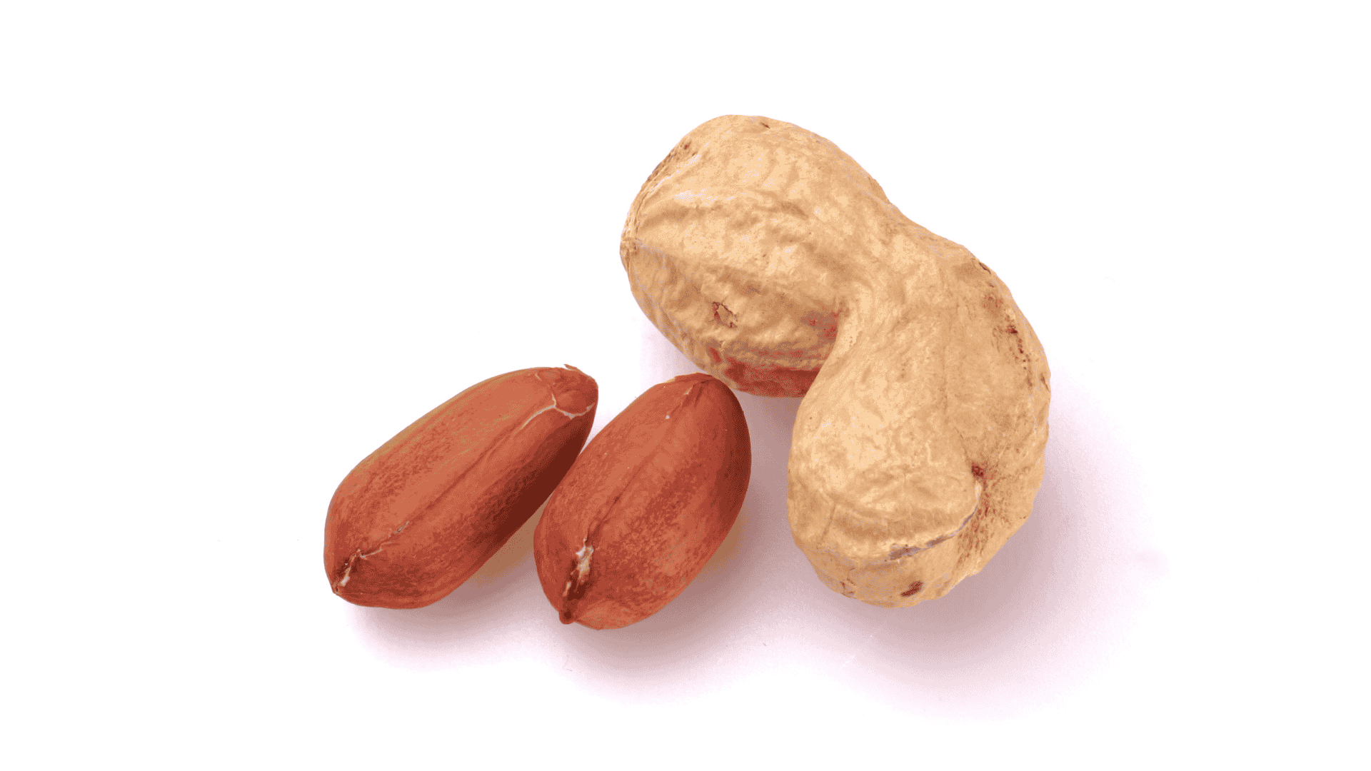 Two raw peanuts in shells and one shelled peanut on a white background.