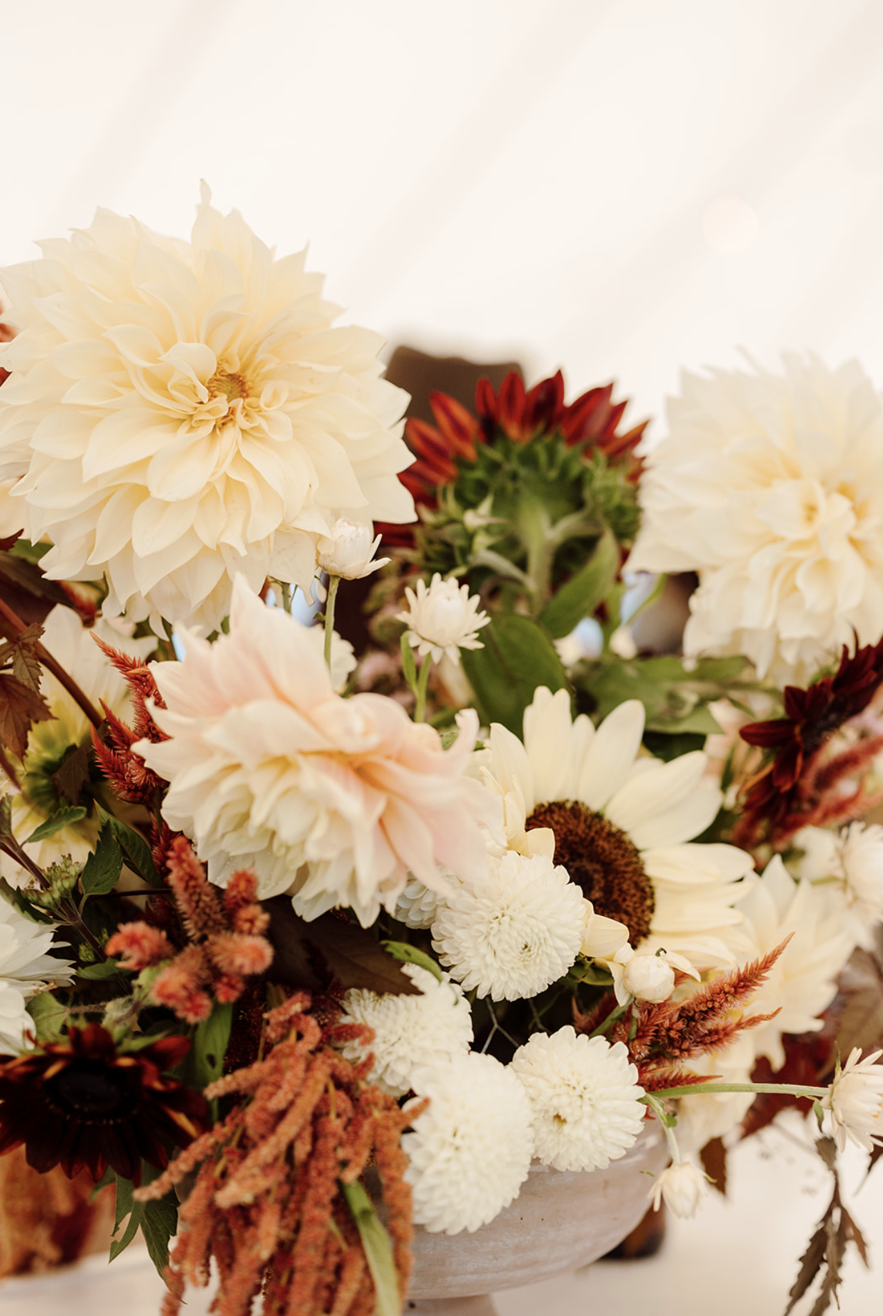 Screen Shot 2024-01-26 at 2.52.30 PM.png