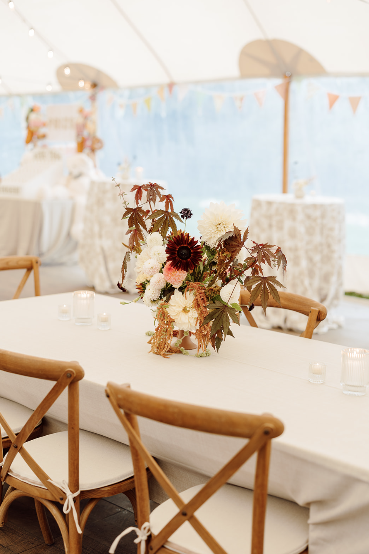 Screen Shot 2024-01-26 at 2.51.04 PM.png