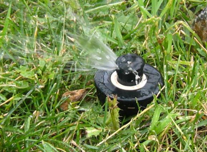 Why Your Sprinkler System Isn’t Working (And When to Call a Pro) – Utah County Guide
