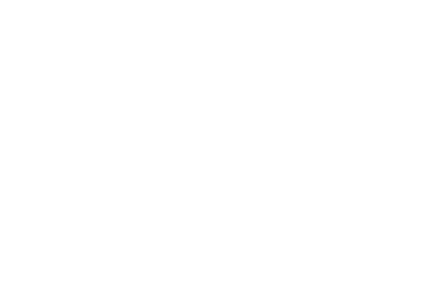 Fox Factory logo