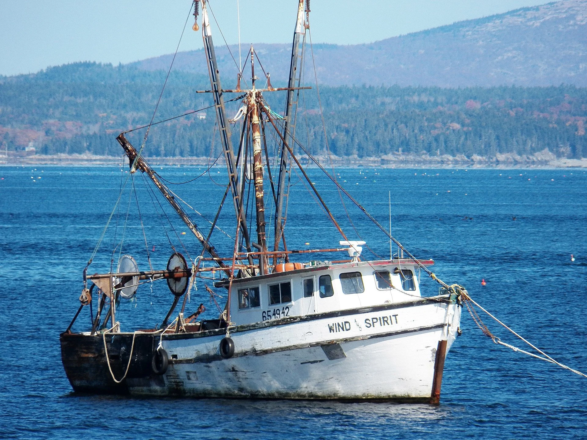 Send a letter to the U.S. Senate: Thank you for protecting the ocean monitoring system