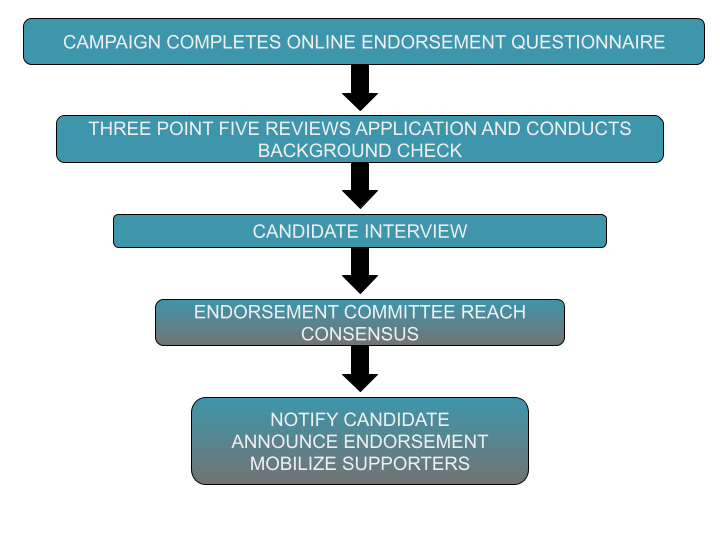 Flowchart outlining steps in an endorsement campaign process, including online endorsement questionnaire, background check, candidate interview, endorsement committee consensus, and candidate notification and supporter mobilization.