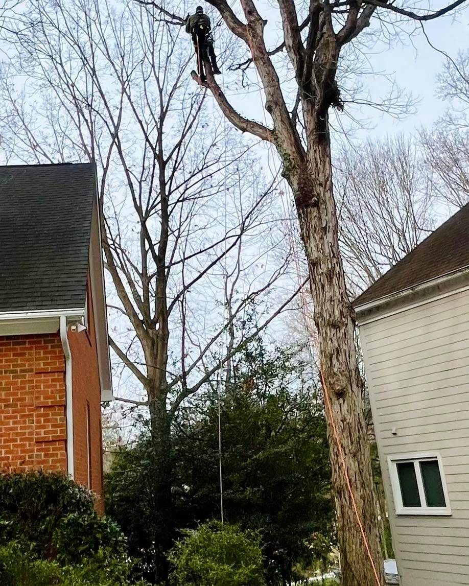 Don&rsquo;t let your roofline become a squirrel playground.

These homeowners have been dealing with squirrels using overhanging branches like a runway&mdash;getting onto the roof, tearing up the eaves, and even making their way into the attic.

Rigg