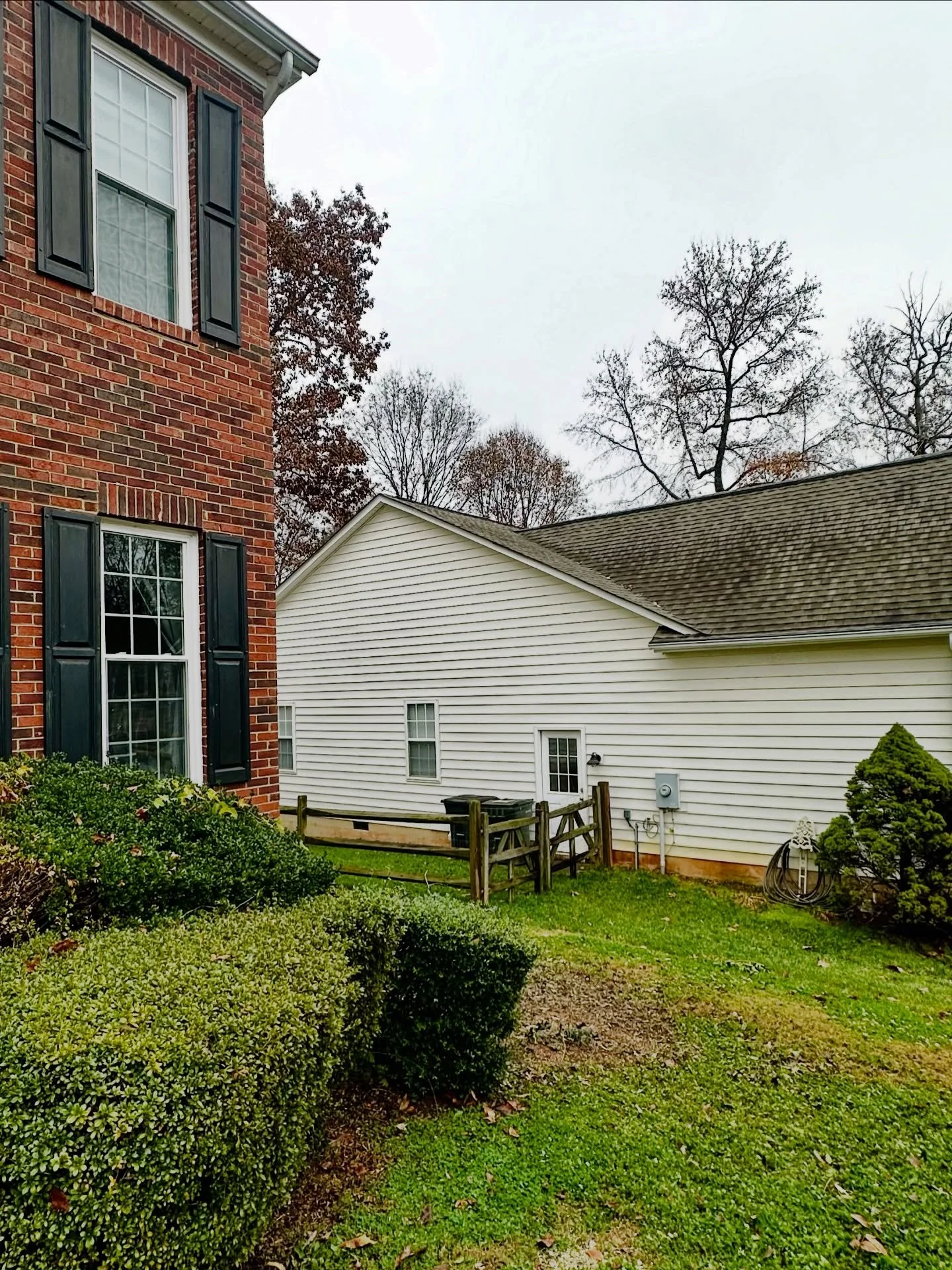 Holly down! ➡️ The Grinch approves 💚🌿🎄
These guys outgrow their space quick &mdash; winter is the perfect time to handle them.