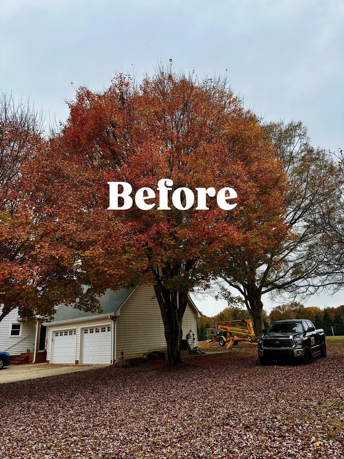 We really do like trees &mdash; even if it doesn&rsquo;t always look that way.
Whether it&rsquo;s trimming back overgrown branches or removing low-hanging limbs, we focus on keeping your trees healthy, strong, and safe.

For this property, we removed