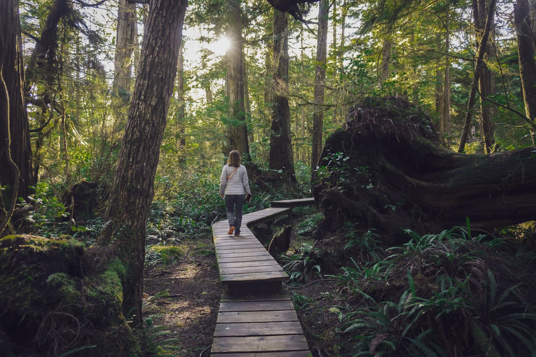 A woman walking on a winding wooden trail through a dense forest with tall trees and sunlight filtering through the leaves.