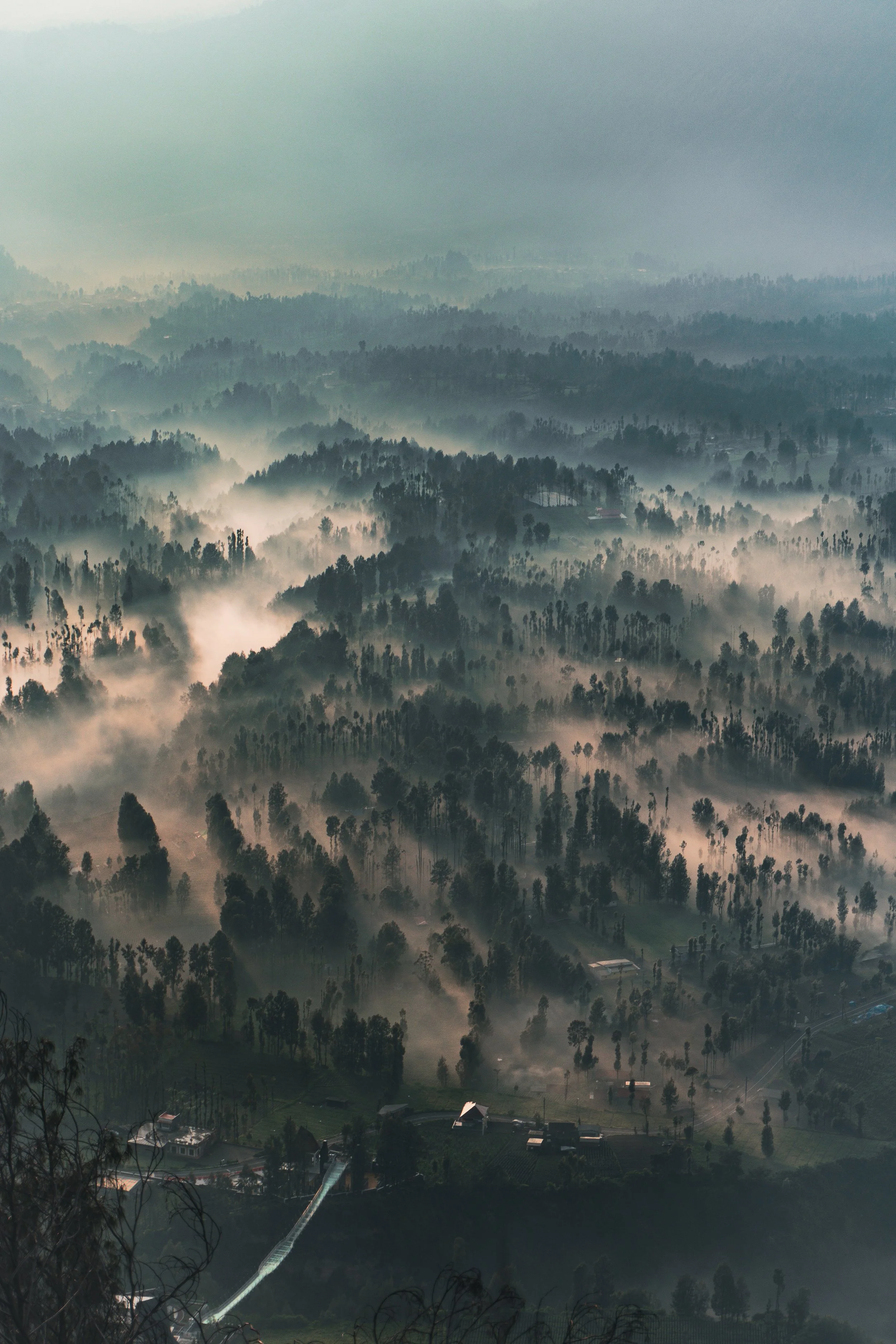 Aerial view of a forested area with mist and fog, showing rolling hills covered in trees.