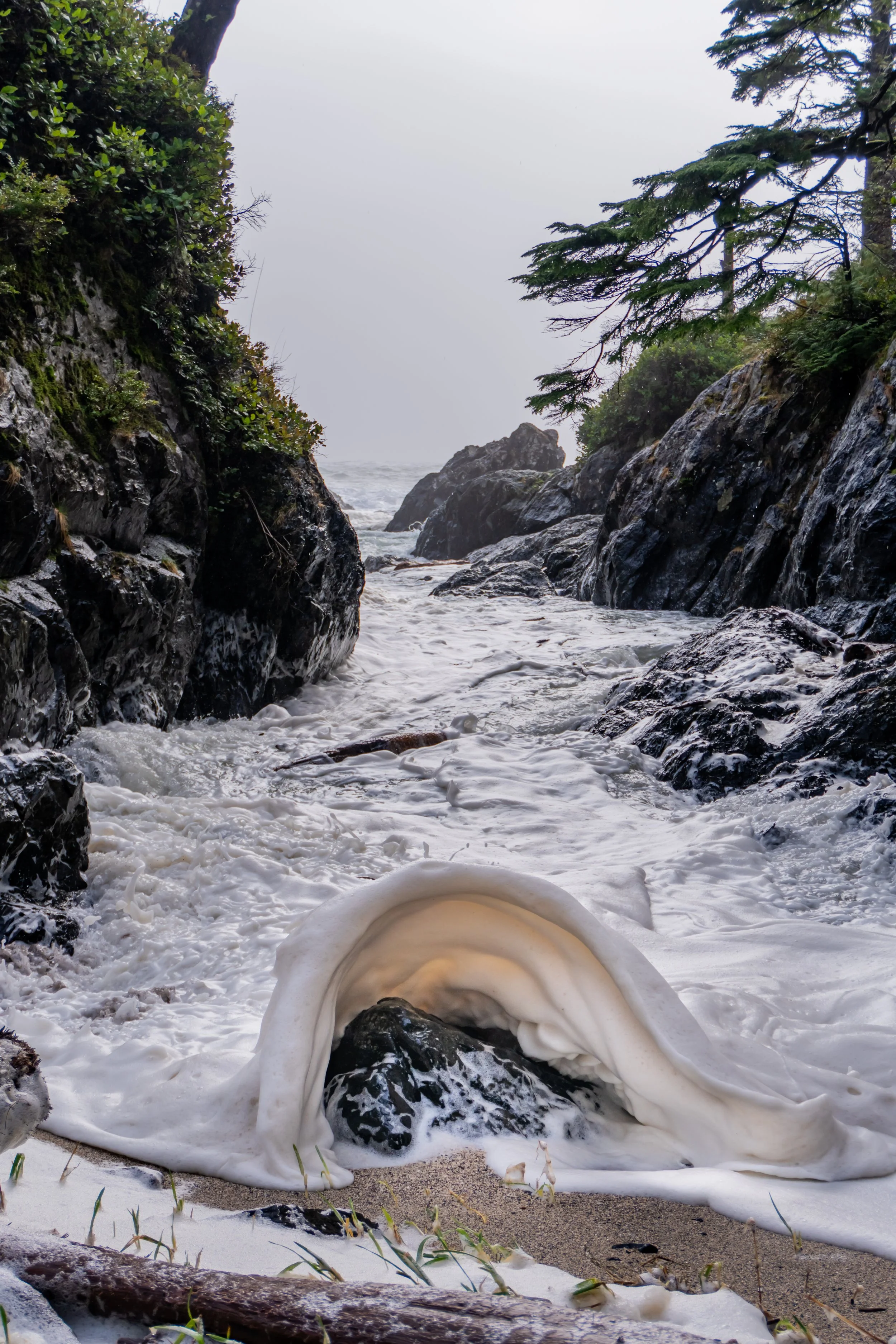 Foamy ocean waves on a rocky beach, with large rocks and green foliage on cliffs on either side, under an overcast sky.