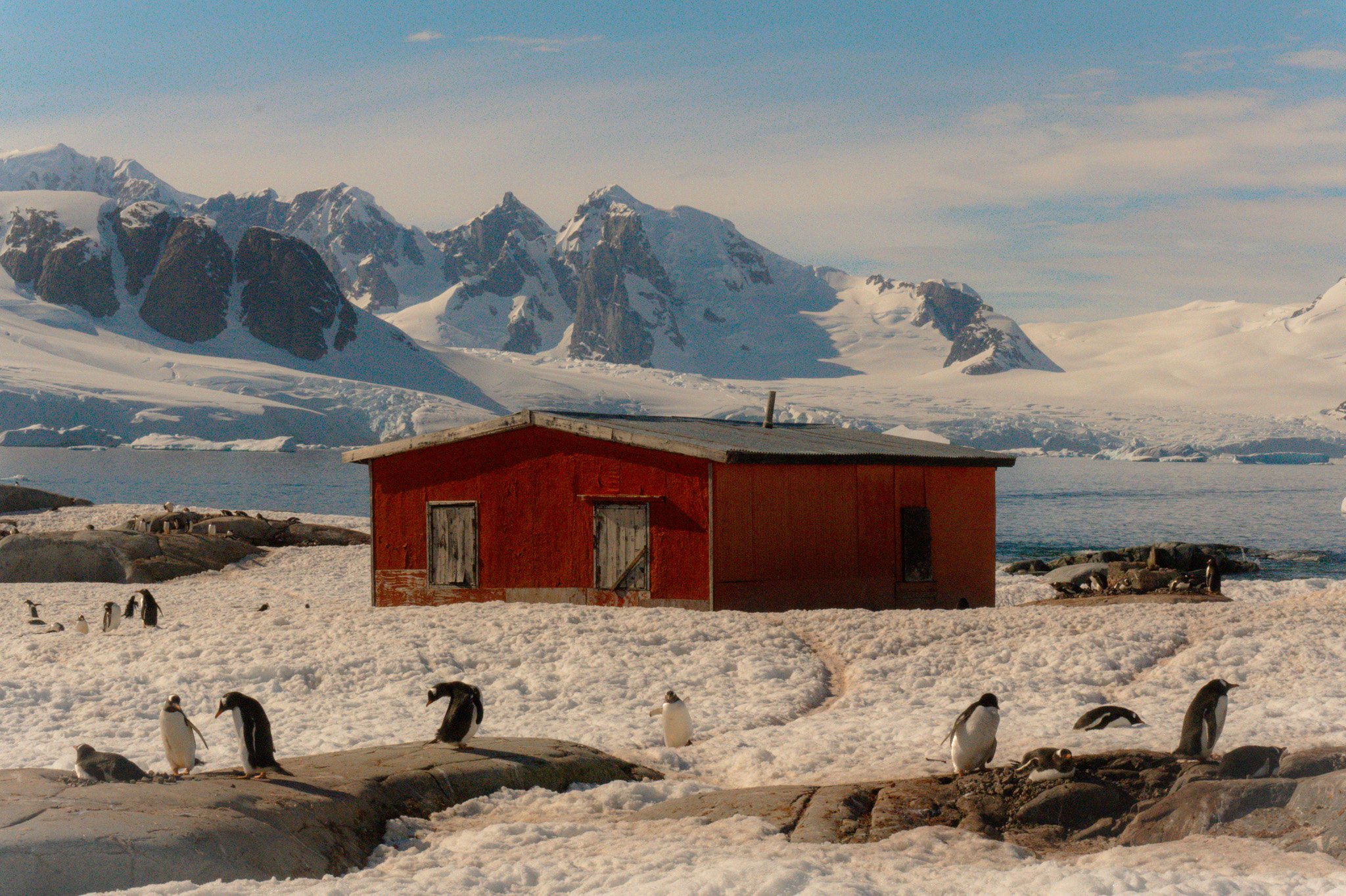 A snowy landscape with a red wooden building, penguins on rocks and snow, snow-covered mountains in the background, and a partly cloudy sky.