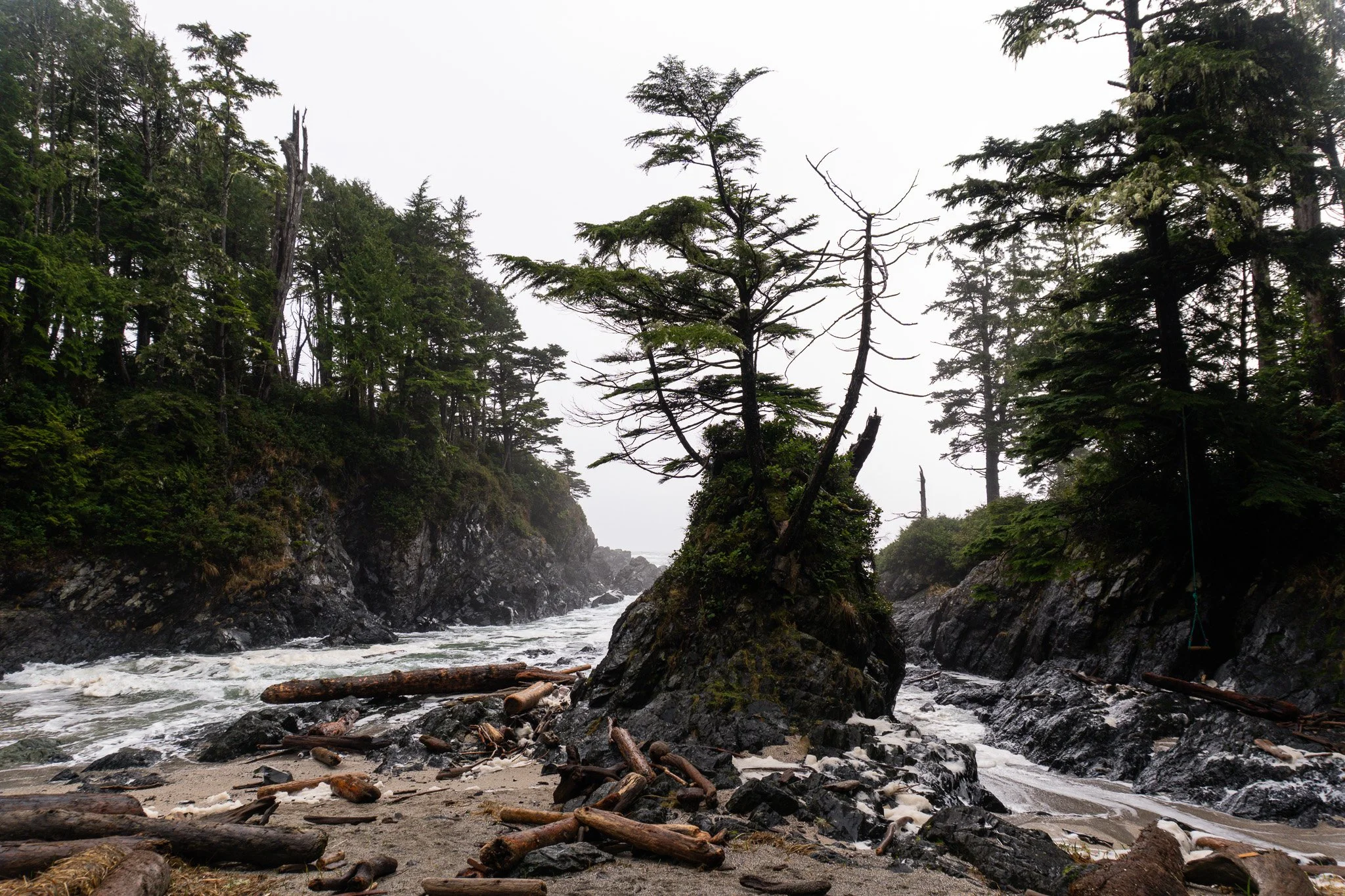 A rocky shoreline with driftwood and a small sand beach, surrounded by dense evergreen trees and cliffs, under an overcast sky.