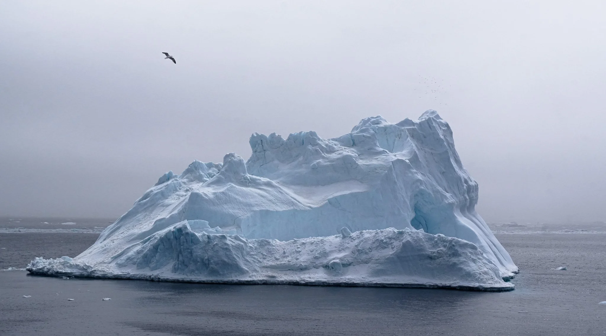 A large iceberg floating in the ocean with a bird flying above it under a cloudy sky.